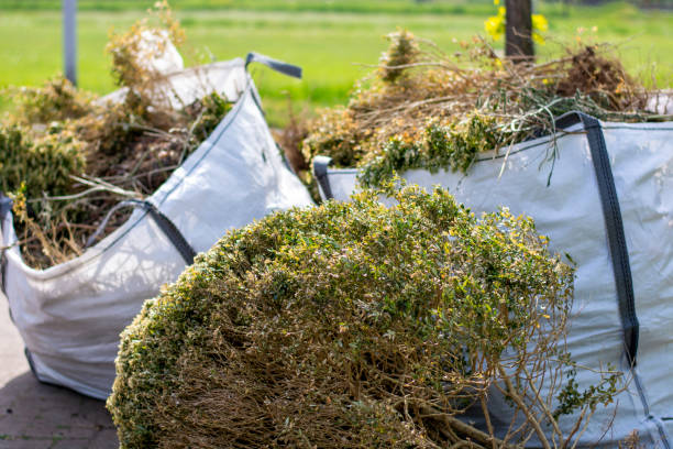 Reliable Fern Acres, HI Junk Removal Services Solutions