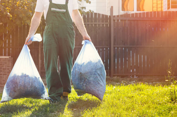Best Electronics and E-Waste Disposal  in Fern Acres, HI